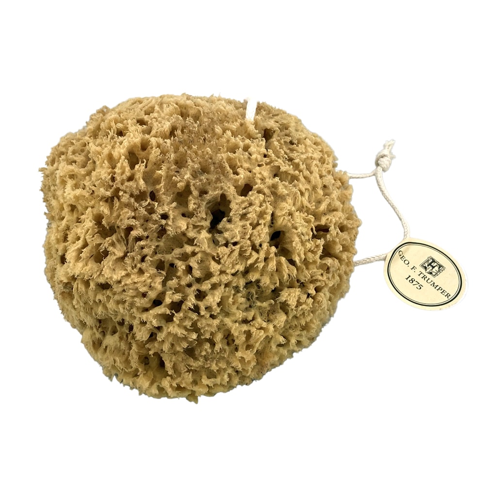 geo-trumper-natural-unbleached-sea-sponge-badeschwamm-5-7-zoll image 3
