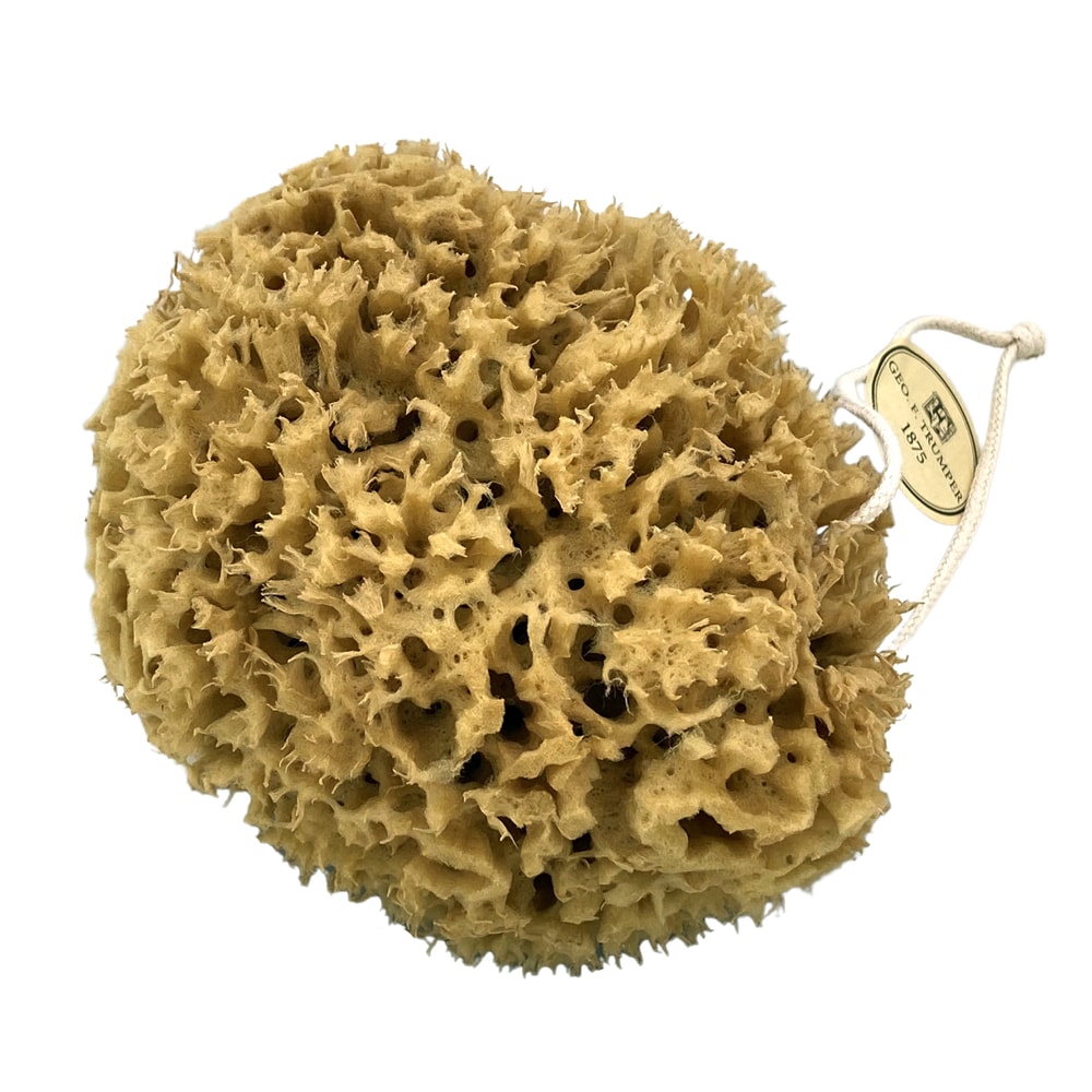 geo-trumper-natural-unbleached-sea-sponge-badeschwamm-5-7-zoll image 2