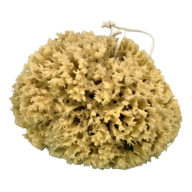 geo-trumper-natural-unbleached-sea-sponge-badeschwamm-5-7-zoll image 1