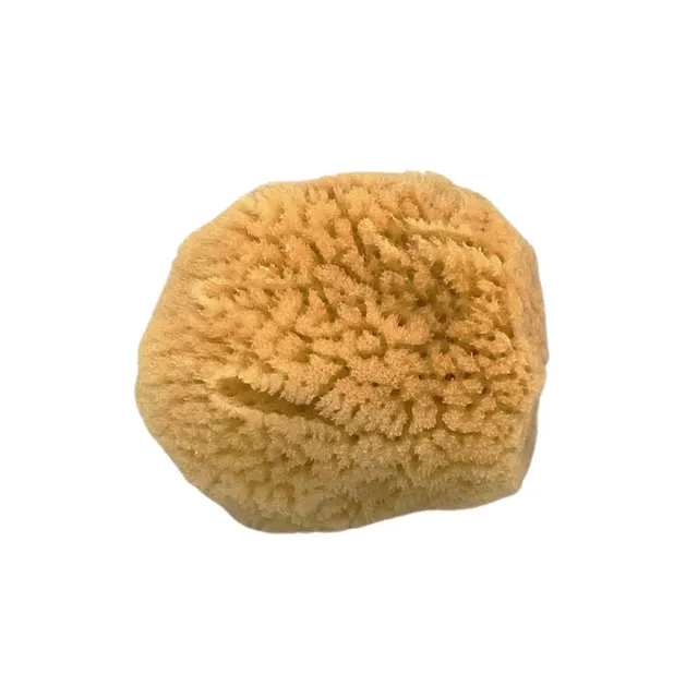 geo-trumper-face-sponge-natur-gesichtsschwamm-3-0-3-5-zoll image 1