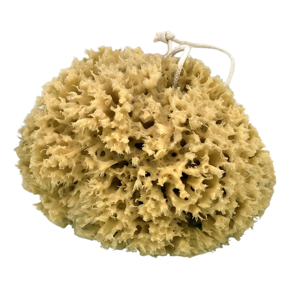 geo-trumper-natural-unbleached-sea-sponge-badeschwamm-5-7-zoll image 1
